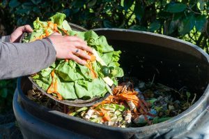Composting Kitchen waste